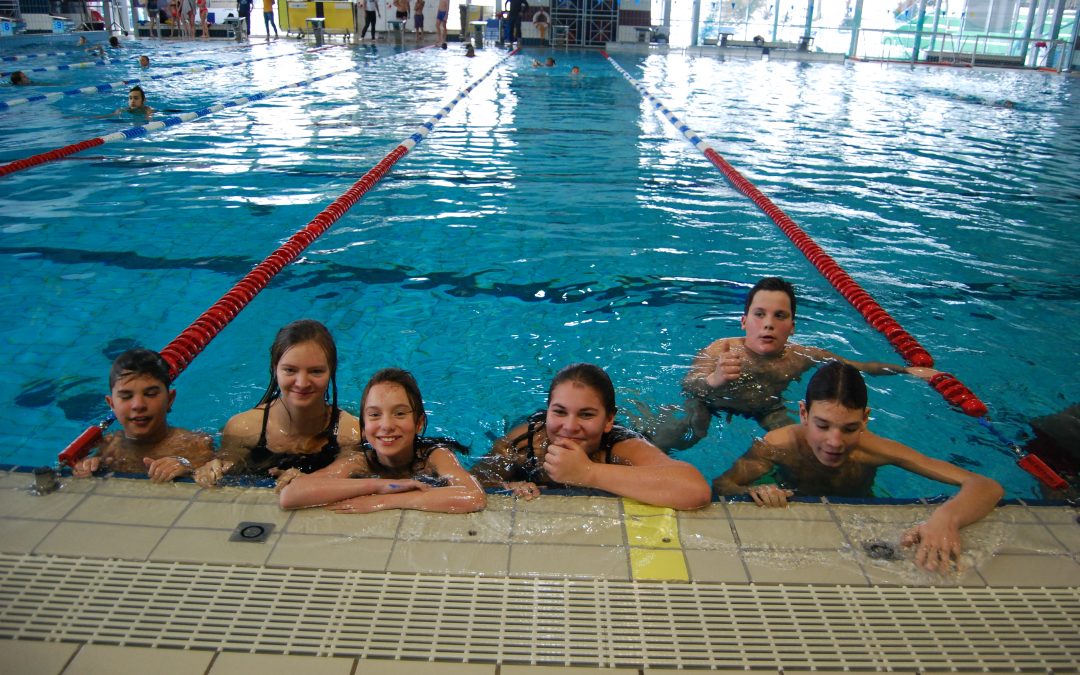 Državno tekmovanje v plavanju
